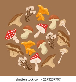 Cartoon mushrooms. Poisonous and edible mushroom, chanterelle, cep, amanita isolated vector illustration set. Forest wild mushrooms types. Organic porcini and chanterelle, poisonous fungus concept