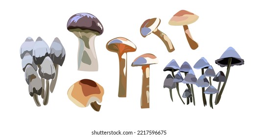 Cartoon mushrooms. Poisonous and edible mushroom isolated vector illustration set. Forest wild mushrooms types.