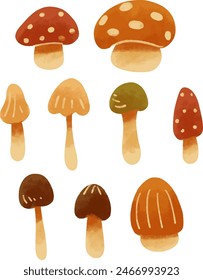 Cartoon mushrooms. Poisonous and edible mushroom, chanterelle, cep, amanita and truffle isolated vector illustration set. Forest wild mushrooms types. Organic porcini and chanterelle, poisonous fungus