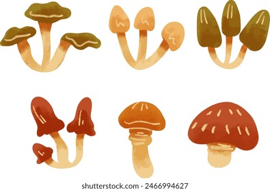 Cartoon mushrooms. Poisonous and edible mushroom, chanterelle, cep, amanita and truffle isolated vector illustration set. Forest wild mushrooms types. Organic porcini and chanterelle, poisonous fungus