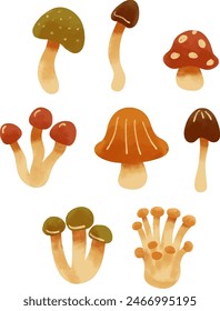 Cartoon mushrooms. Poisonous and edible mushroom, chanterelle, cep, amanita and truffle isolated vector illustration set. Forest wild mushrooms types. Organic porcini and chanterelle, poisonous fungus