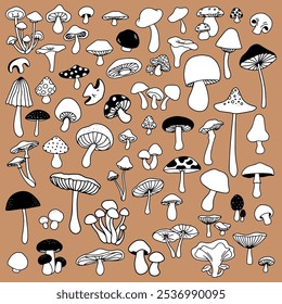 Cartoon mushrooms Poisonous and edible mushroom chanterelle cep amanita and truffle isolated vec