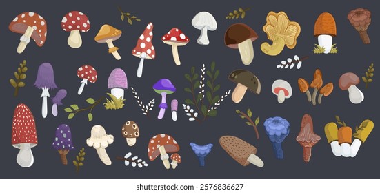 Cartoon mushrooms. Poisonous and edible mushroom, chanterelle, cep, amanita and truffle isolated vector illustration set.