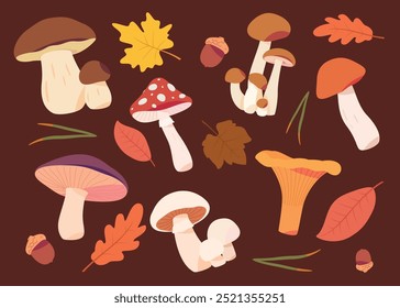 Cartoon mushrooms. Poisonous and edible mushrooms. Types of forest wild mushrooms. Vector illustration