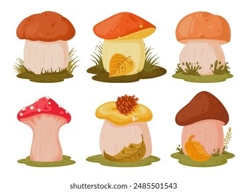 Cartoon mushrooms. Seasonal mushroom food, autumn forest edible and poisonous plants flat vector illustration set. Mushrooms on white background