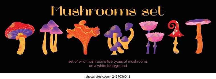 Cartoon mushrooms set. Poisonous and edible mushroom, chanterelle, cep, amanita and truffle. Autumn forest fungi. Food plant, botanical design elements. Vector flat illustration isolated on background