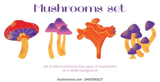 Cartoon mushrooms set. Poisonous and edible mushroom, chanterelle, cep, amanita and truffle. Autumn forest fungi. Food plant, botanical design elements. Vector flat illustration isolated on background