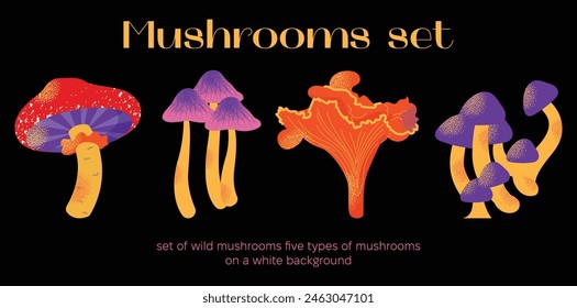 Cartoon mushrooms set. Poisonous and edible mushroom, chanterelle, cep, amanita and truffle. Autumn forest fungi. Food plant, botanical design elements. Vector flat illustration isolated on background