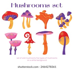 Cartoon mushrooms set. Poisonous and edible mushroom, chanterelle, cep, amanita and truffle. Autumn forest fungi. Food plant, botanical design elements. Vector flat illustration isolated on background