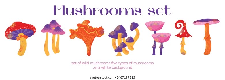 Cartoon mushrooms set. Poisonous and edible mushroom, chanterelle, cep, amanita and truffle. Autumn forest fungi. Food plant, botanical design elements. Vector flat illustration isolated on background