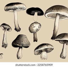 Cartoon mushrooms. Vector illustration, print for background, print on fabric, paper, wallpaper, packaging.	