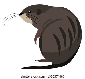 Cartoon Muskrat Brown In Color  With Long Tails And Covered With Oval-shaped Scales  Long Whiskers Sits On The Ground  Vector  Color Drawing Or Illustration