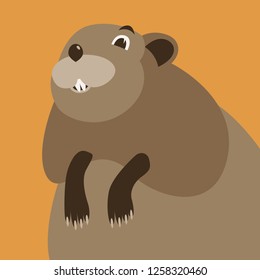 Cartoon Muskrat Face, Vector Illustration , Flat Style