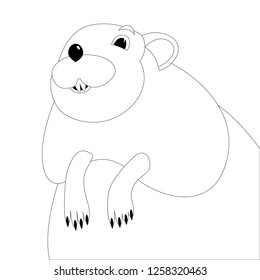 Cartoon Muskrat Face, Vector Illustration ,  Lining Draw ,front View