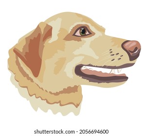 cartoon muzzle of a dog of breed labrador on a white background, vector image