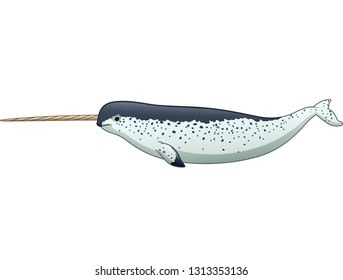Cartoon narwhal isolated on white background