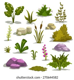 Cartoon nature elements, vector objects on white background