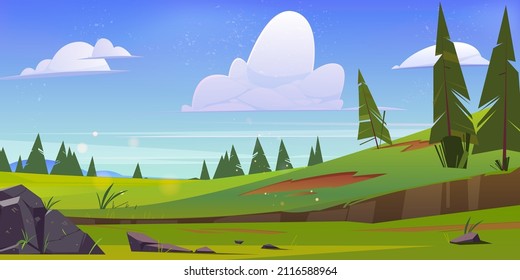 Cartoon nature landscape green field, conifers trees and rocks under blue sky with clouds. Scenery view background, summer or spring meadow or pasture with plants and stones, Vector illustration