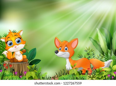 Cartoon of the nature scene with two fox