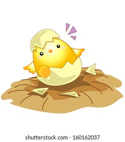 cartoon new born baby chicken egg