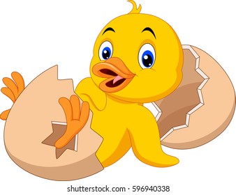 Cartoon new born duckling
