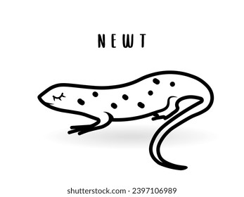 Cartoon newt animal isolated on white. Cute character newt, vector zoo, wildlife poster. 