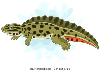 Cartoon newt isolated on white background