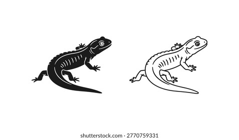 Cartoon Newt and Salamander Sketches Vector Art Vector