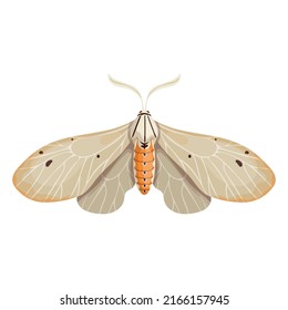 Cartoon night moth with white wings. Vector graphics.