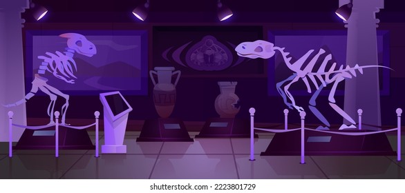 Cartoon night paleontology museum with dinosaur skeleton, ancient artifacts. Dark exhibition room with exhibits of archeology prehistoric animals. Archaeological tyrannosaurus rex fossils on pedestal.