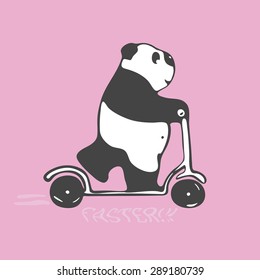 cartoon for notebooks and notepads: Panda in a hurry rides a scooter. Pink background