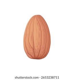 Design de porca de desenho animado. Moldura de snacks de nozes, avelã, noz, amêndoa e pistache moldura de polígono forma vetor plano ilustração. Quadro de borda Nuts