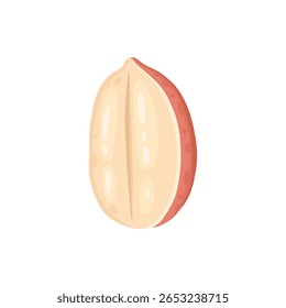 Design de porca de desenho animado. Moldura de snacks de nozes, avelã, noz, amêndoa e pistache moldura de polígono forma vetor plano ilustração. Quadro de borda Nuts