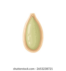 Design de porca de desenho animado. Moldura de snacks de nozes, avelã, noz, amêndoa e pistache moldura de polígono forma vetor plano ilustração. Quadro de borda Nuts