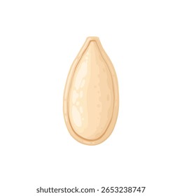 Design de porca de desenho animado. Moldura de snacks de nozes, avelã, noz, amêndoa e pistache moldura de polígono forma vetor plano ilustração. Quadro de borda Nuts