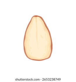 Design de porca de desenho animado. Moldura de snacks de nozes, avelã, noz, amêndoa e pistache moldura de polígono forma vetor plano ilustração. Quadro de borda Nuts