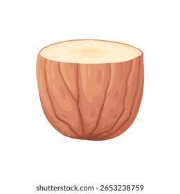 Design de porca de desenho animado. Moldura de snacks de nozes, avelã, noz, amêndoa e pistache moldura de polígono forma vetor plano ilustração. Quadro de borda Nuts