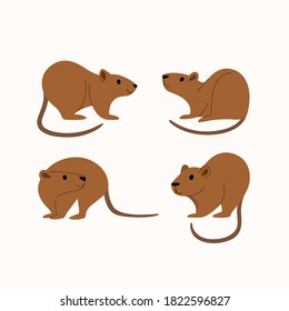 Cartoon nutria icon set. Cute animal character in different poses. Vector illustration for prints, clothing, packaging, stickers.