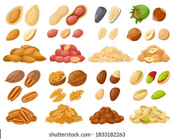 Cartoon nuts. Almond, peanut, cashew, hazelnut nuts, sunflower seed and pistachio, nut food isolated vector illustration icons set. Nuts heaps in shell on white. Organic healthy products for snack