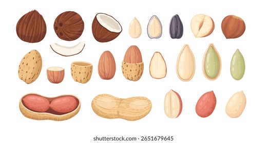 Design de porcas de desenhos animados. Conjunto de moldura de snacks de nozes, avelã, noz, amêndoa e pistache moldura de polígono forma vetor plana ilustração. Quadro de borda Nuts