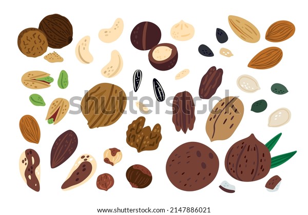 25,792 Coconut Dry Fruit Images, Stock Photos & Vectors | Shutterstock