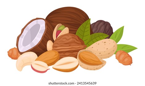 Cartoon nuts mix. Seeds and nuts bunch, cashew, walnut, peanut and almond mix, vegetarian diet organic snack flat vector illustration. Raw nut mix