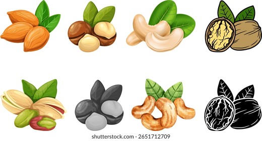 Conjunto de nozes de desenhos animados - amêndoas, nozes de macadâmia, caju, nozes, pistache, e o que parece ser nozes e avelãs. no fundo branco isolado.