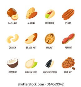 Cartoon nuts set - hazelnut, almond, pistachio, pecan, cashew, brazil nut, walnut, peanut, coconut, pumpkin seeds, sunflower seeds and pine nuts. Vector illustration, eps 10.