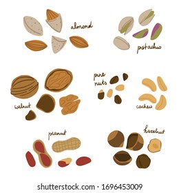 Cartoon nuts set - peanuts, hazelnut, almond, pistachio, cashew, walnut and pine nuts Vector illustration