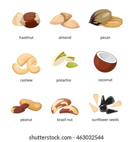 Cartoon nuts vector set