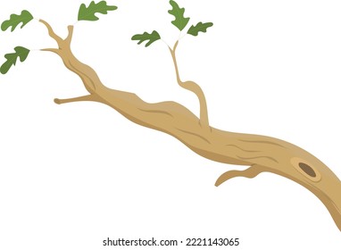 Cartoon oak branch with green foliage isolated on white background. Vector clip art.