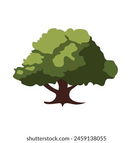 Cartoon oak tree with green leaves, pohon ek or oak tree vector illustration isolated on white background