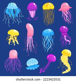 Cartoon ocean jellyfish set. Marine underwater colorful medusa, ocean sea transparent creatures on blue background. Cute jellyfish animals from aquatic underwater and undersea. Vector illustration