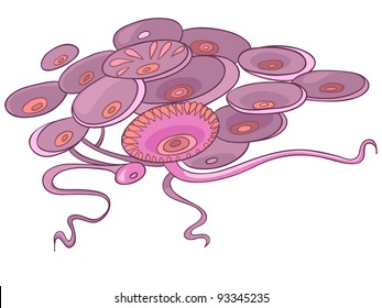 Alga, objeto oceánico de dibujos animados aislado en fondo blanco. Vector.
